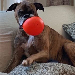 Meet your Posher, Cecilia